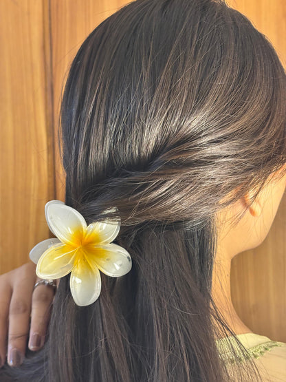 30-Piece Luxury Gift Hamper – “A Perfect Surprise for Her"